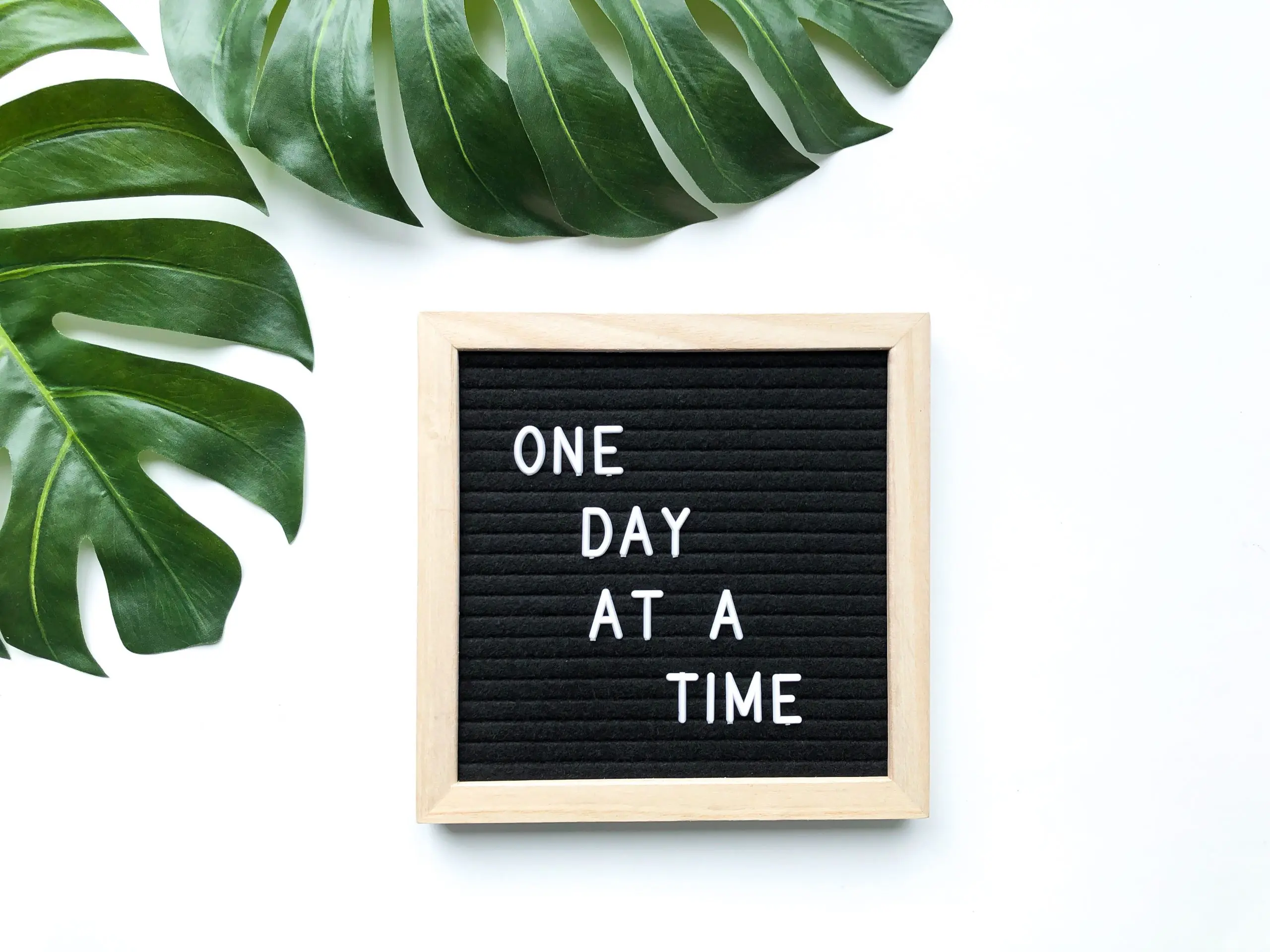 a black letter board with white text next to a green leaf as part of sober new years quotes