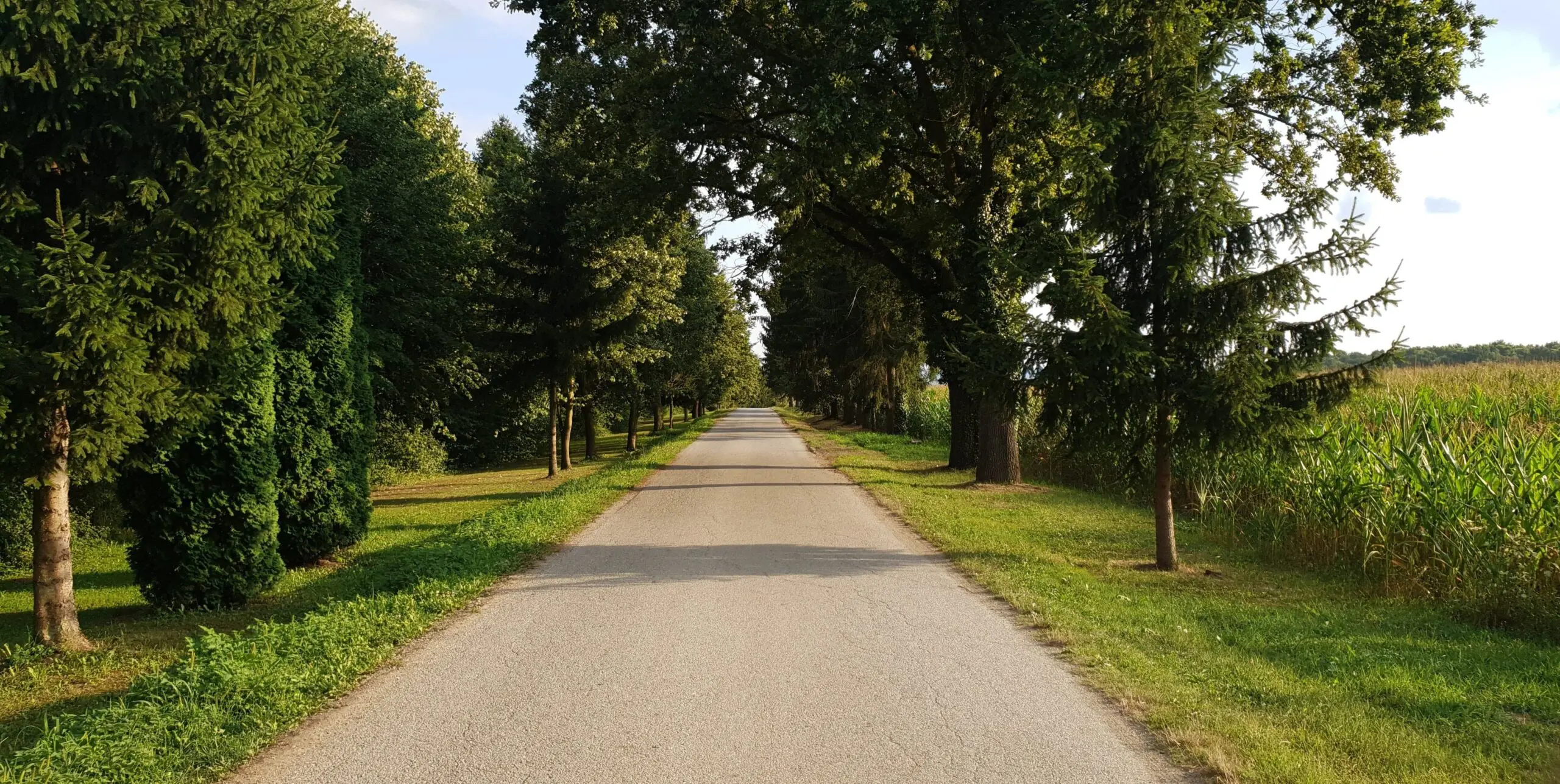 Open path symbolizing moving forward after practicing forgiveness