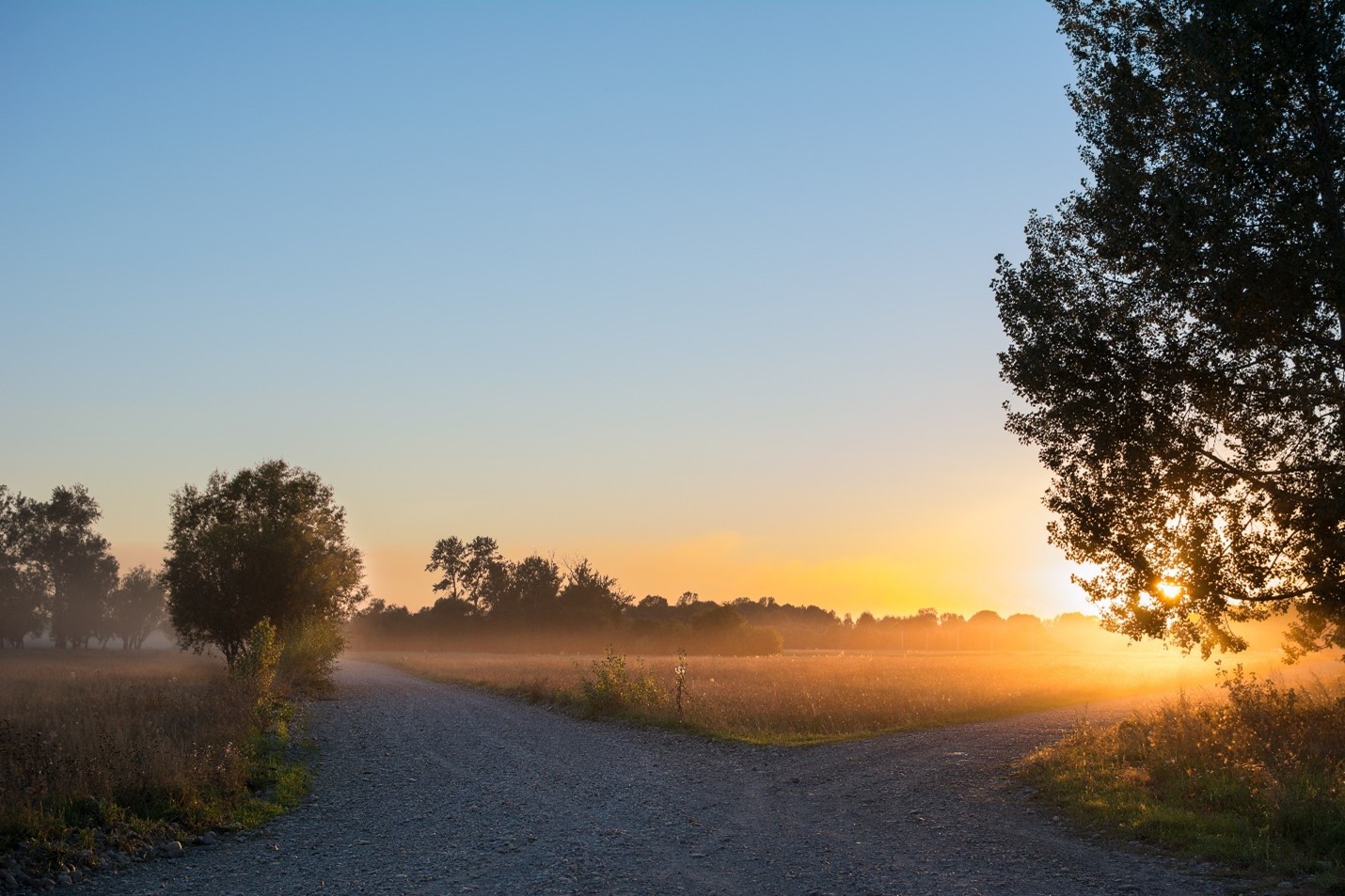 Sunrise