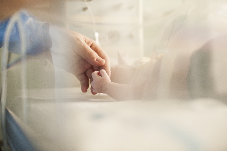 a close-up of a hand holding a baby