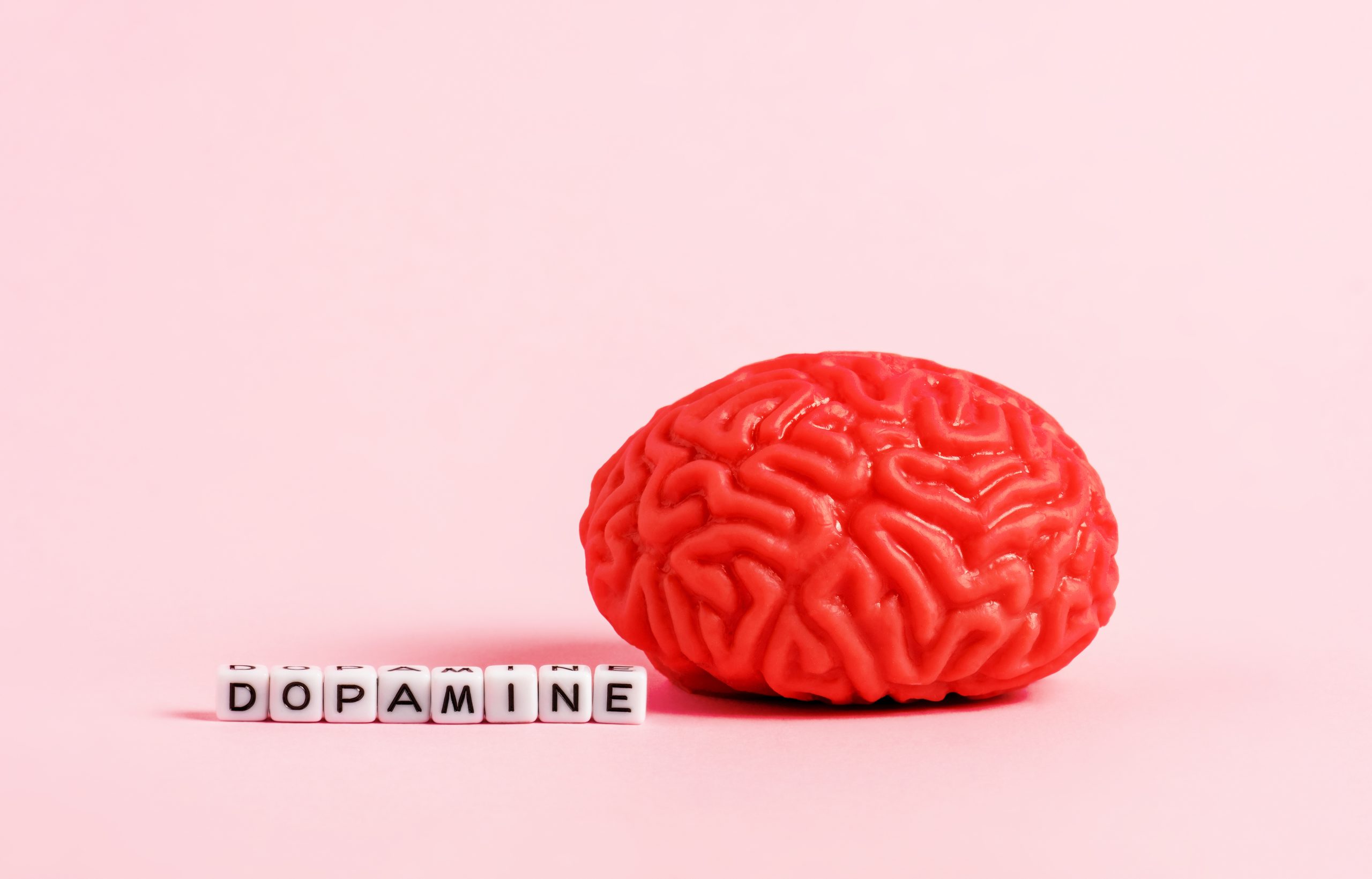 a red brain next to white cubes with black letters
