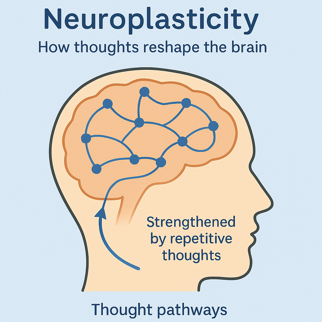 Visual representation of neuroplasticity and how thoughts reshape the brain