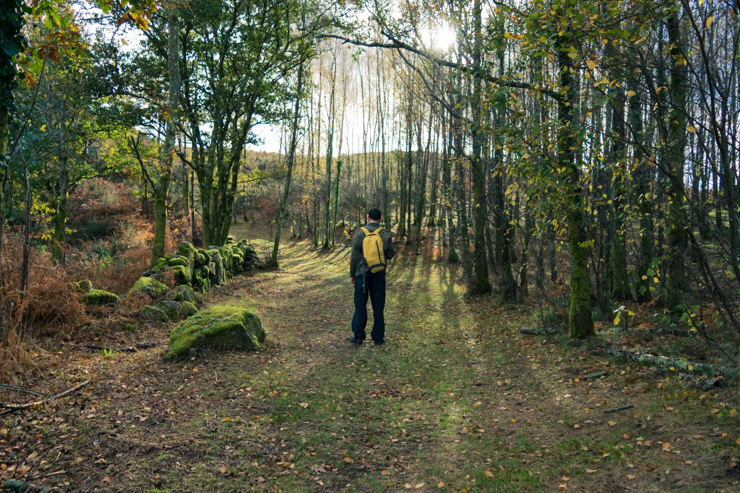 why recovery is not just about abstinence healthy lifestyle in recovery