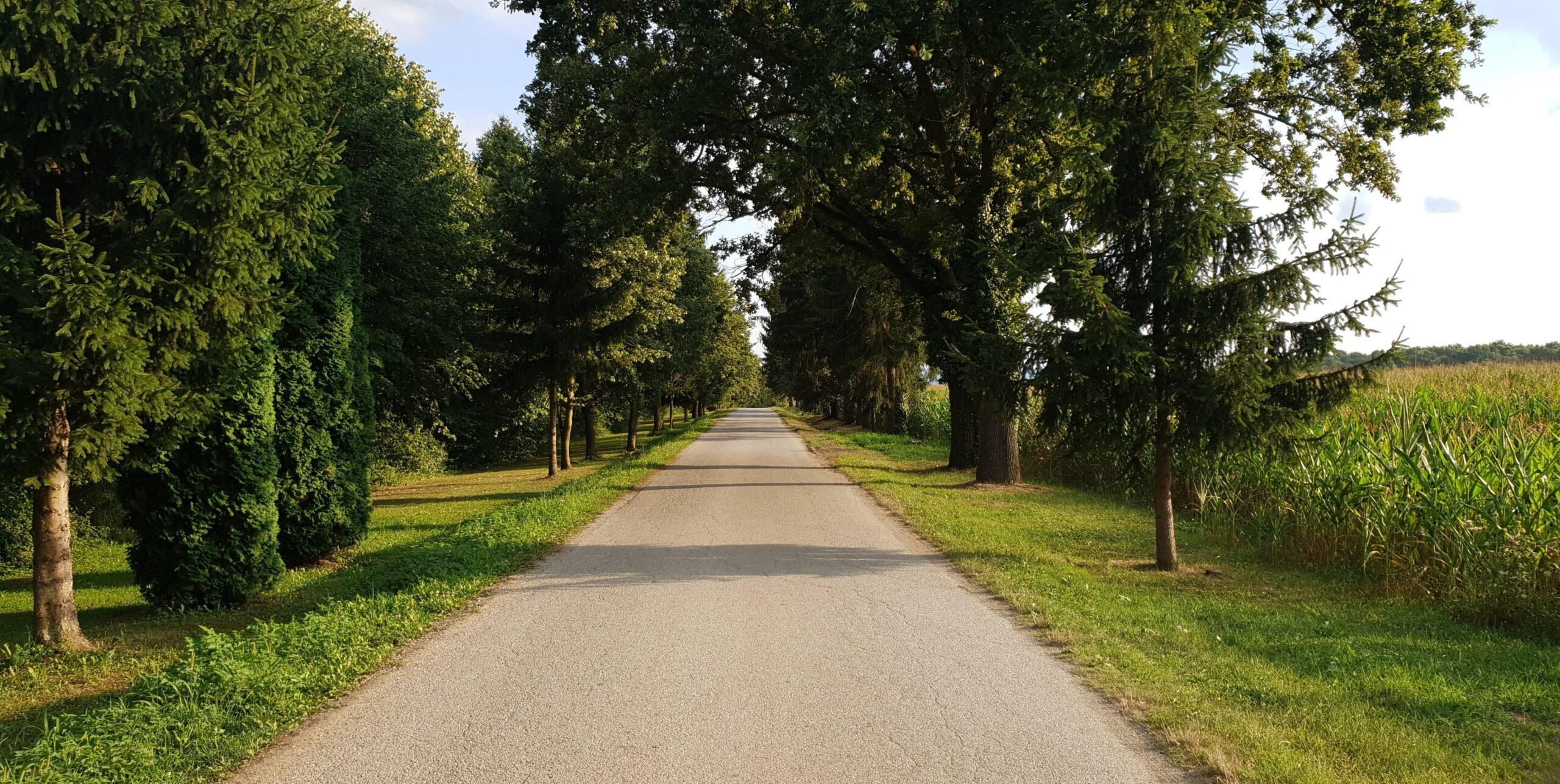 Open path symbolizing moving forward after practicing forgiveness