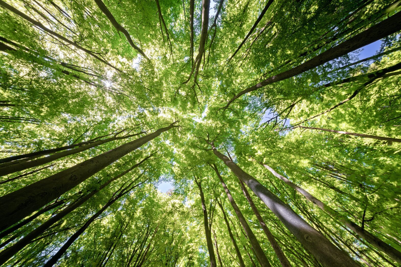 The stages of brain healing after addiction at Vanity Wellness Center.
