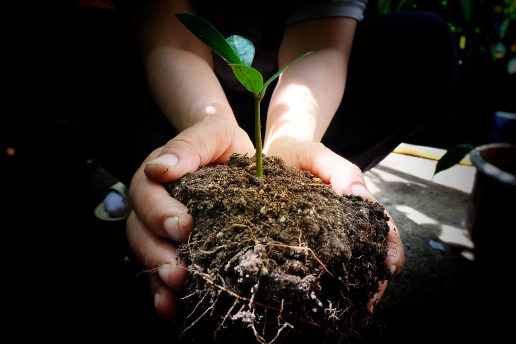 Image representing self-compassion and the need to nurture one's recovery (Change from guilt to kindness).