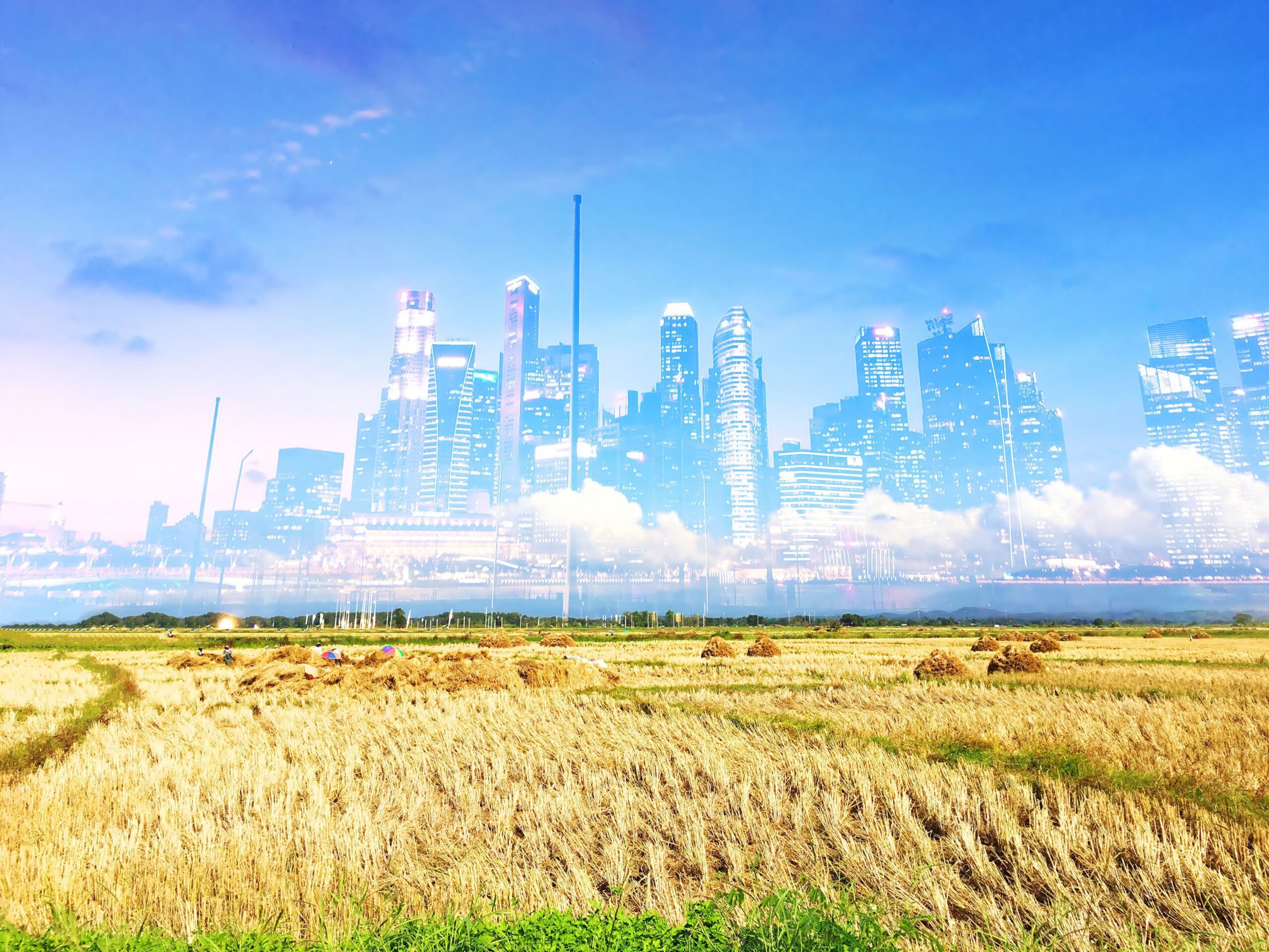 Urban vs rural environments impact addiction recovery differently