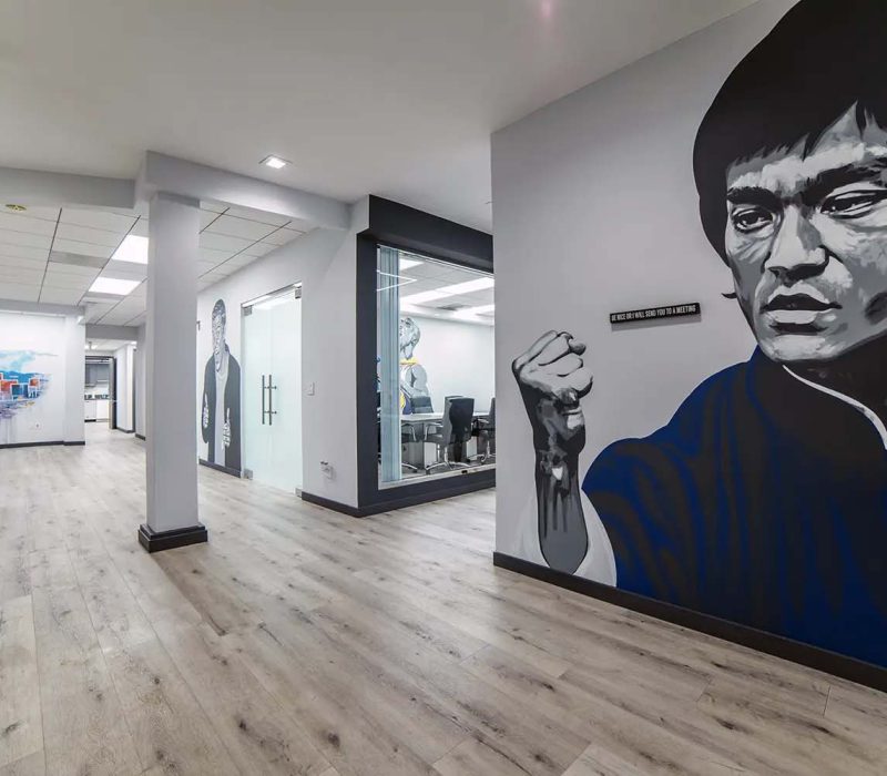 bruce lee mural at Vanity Wellness Center's outpatient treatment rehab